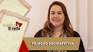 Explica Direito Filiação Socioafetiva  2019 [upl. by Eikin]