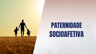 Paternidade socioafetiva [upl. by Nylekcaj42]