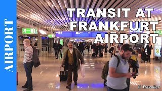 TRANSIT WALK AT FRANKFURT Airport FRA Terminal 1  Connection Flight Transfer Arriving amp Departing [upl. by Ydnat362]